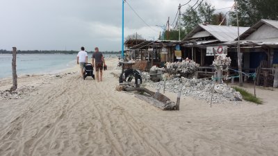 gili03